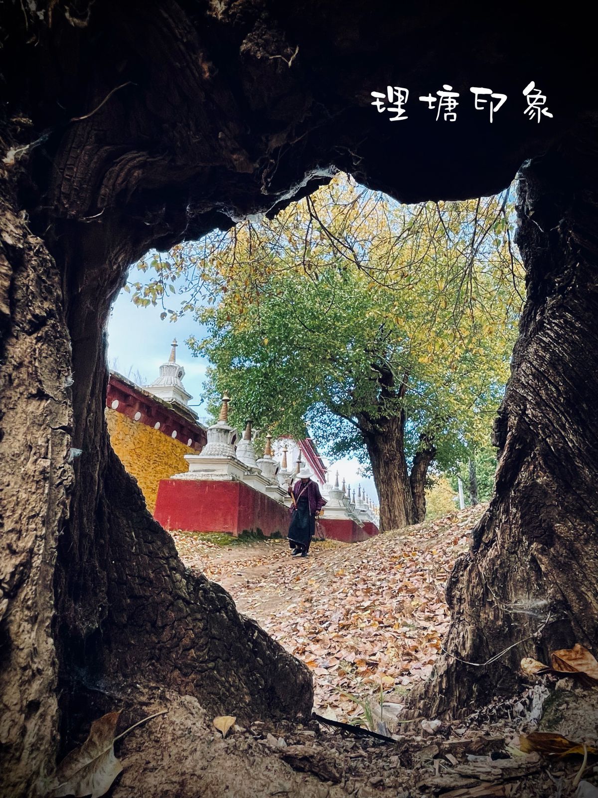 评论附带图
